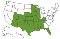 ALAZARCOFLILIAKSKYLAMNMSMONENMOKTNTXUTWI