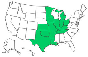 ARILINIAKSKYLAMIMNMOOHOKTNTX00CC66med.jp